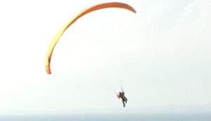 Läs mer om artikeln När teori och praktik förenas kan psykisk ohälsa behandlas